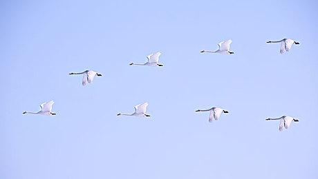 在《生化危机4：重制版》里，阿什莉不再是“碍事梨”